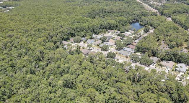 Photo of 3338 Laurelwood Ct, Tarpon Springs, FL 34688
