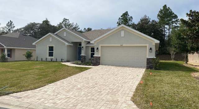 Photo of 6668 SW 179th Court Rd, Dunnellon, FL 34432