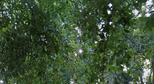 Photo of People St, Maitland, FL 32751