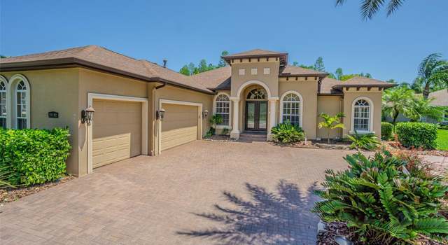 Photo of 20142 Lace Cascade Rd, Land O Lakes, FL 34637