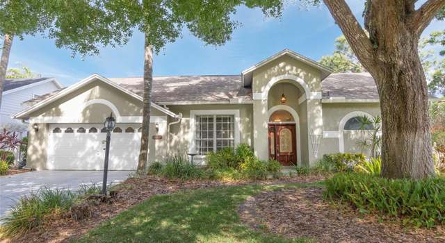 Photo of 13703 Whitebark Pl, Tampa, FL 33625