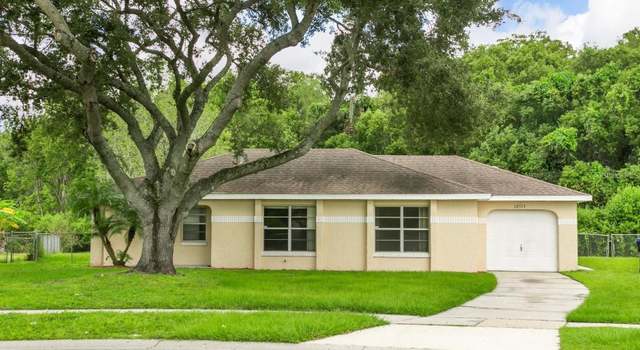 Photo of 12513 Indiana Woods Ln, Orlando, FL 32824
