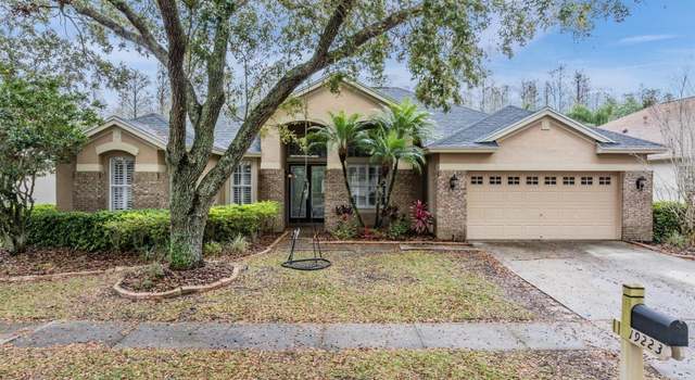 Photo of 19223 Wind Dancer St, Lutz, FL 33558