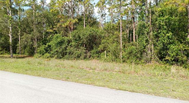 Photo of 6431 Norman St, Webster, FL 33597