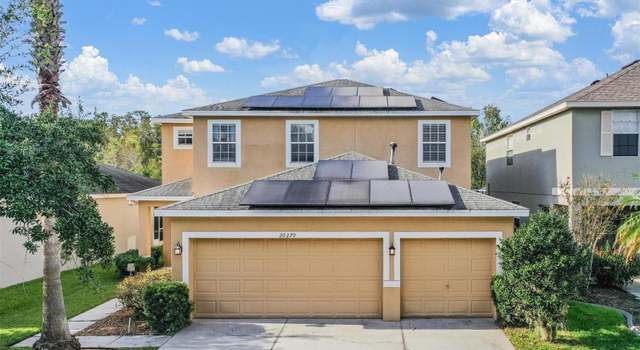 Photo of 20270 Merry Oak Ave, Tampa, FL 33647
