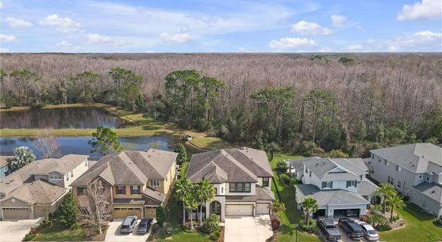 Photo of 8414 Eagle Brook Dr, Land O Lakes, FL 34638