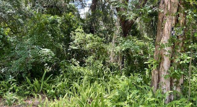Photo of 22361 Panorama St, Brooksville, FL 34601