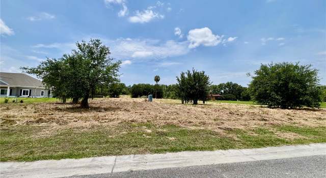 Photo of 15315 Fishhawk Heights Run, Lithia, FL 33547
