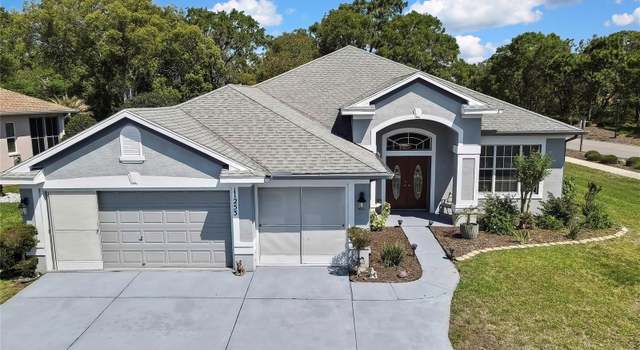 Photo of 11253 Avalon Way, Spring Hill, FL 34609