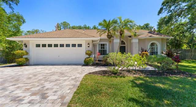 Photo of 12503 Bronco Dr, Tampa, FL 33626
