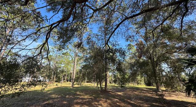 Photo of Bonsmara Dr, Groveland, FL 34736