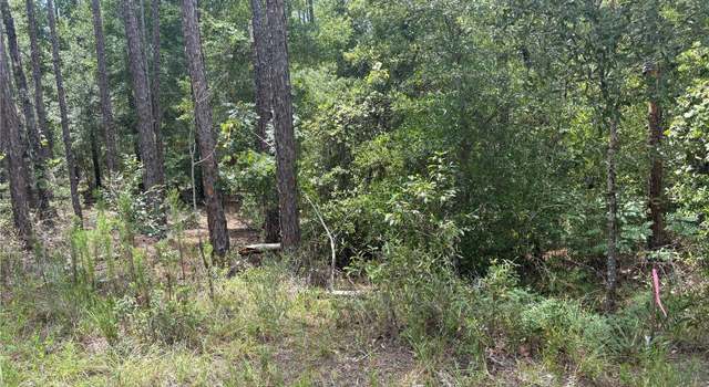 Photo of 00 SW 87th Loop, Dunnellon, FL 34431