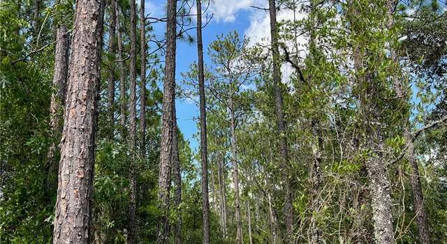 Photo of 000 NE 138 Ave, FL 32696