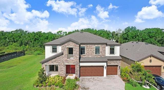 Photo of 13103 Wildflower Meadow Dr, Riverview, FL 33579