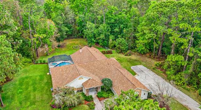 Photo of 7397 Royal Oak Dr, Spring Hill, FL 34607