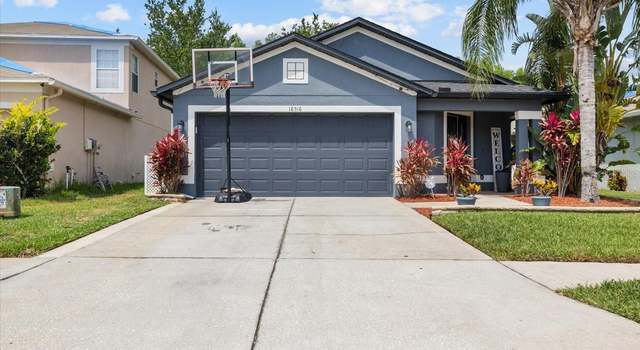 Photo of 18516 Snowdonia Dr, Land O Lakes, FL 34638