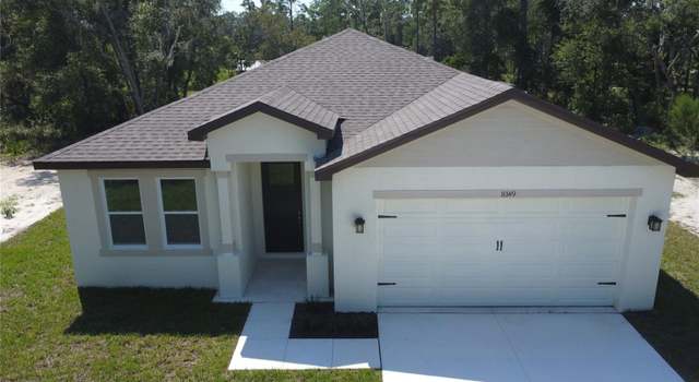 Photo of 8149 Cashew Dr, Webster, FL 33597