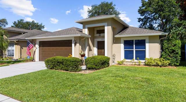 Photo of 4511 Preston Woods Dr, Valrico, FL 33596