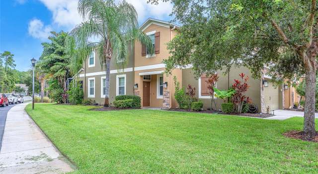 Photo of 12510 Shirebrook Ct, Tampa, FL 33626