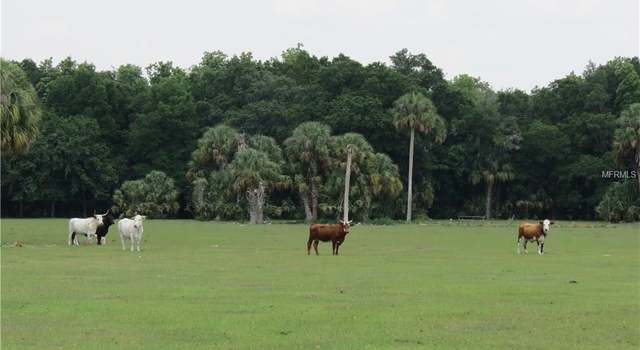 Photo of Bryant Rd, Lithia, FL 33547