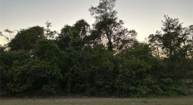 Photo of SE 145th Ave, FL 32179