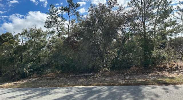 Photo of SW 178th Street Rd, Ocala, FL 34473