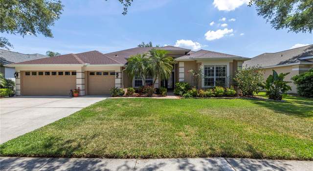 Photo of 10254 Shadow Branch Dr, Tampa, FL 33647