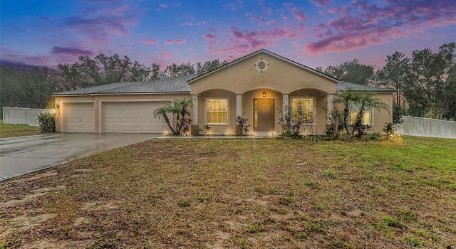 Photo of 10442 Bloomfield Hills Dr, Seffner, FL 33584