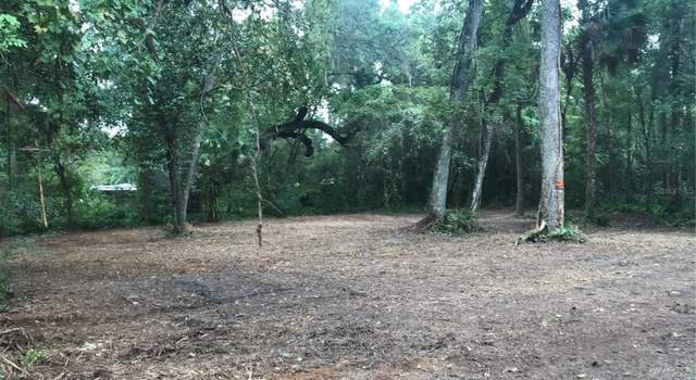Photo of SW 35th Dr, Webster, FL 33597
