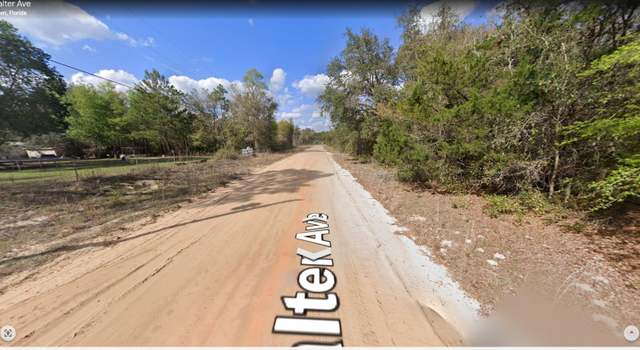 Photo of lot 16 Walter Ave, Interlachen, FL 32148