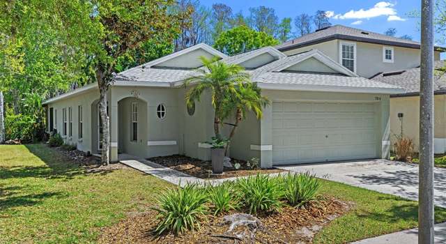 Photo of 7816 Citrus Blossom Dr, Land O Lakes, FL 34637