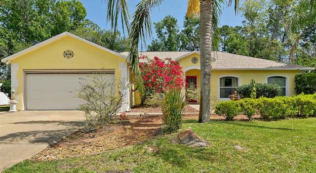 Photo of 19 Kannapolis Pl, Palm Coast, FL 32164