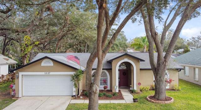 Photo of 1337 Gangplank Dr, Valrico, FL 33594