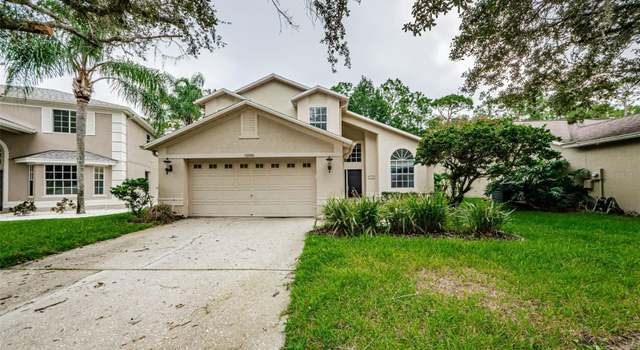 Photo of 16006 Shinnecock Dr, Odessa, FL 33556