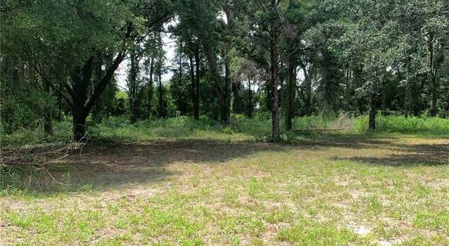Photo of SW 19th Cir, FL 32693
