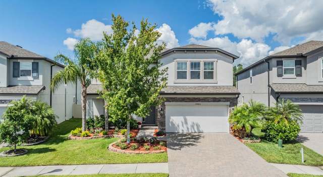 Photo of 19445 Redwood Point Dr, Tampa, FL 33647