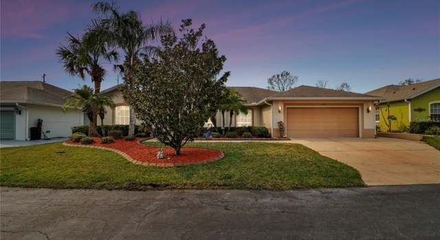 Photo of 10416 Moshie Ln, San Antonio, FL 33576