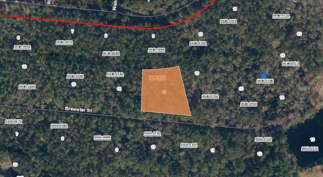 Photo of 223 Brewster St, Satsuma, FL 32189