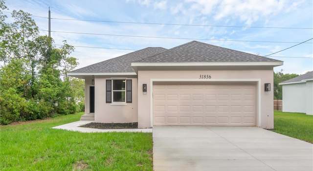 Photo of 31836 Sybil Ave, Sorrento, FL 32776