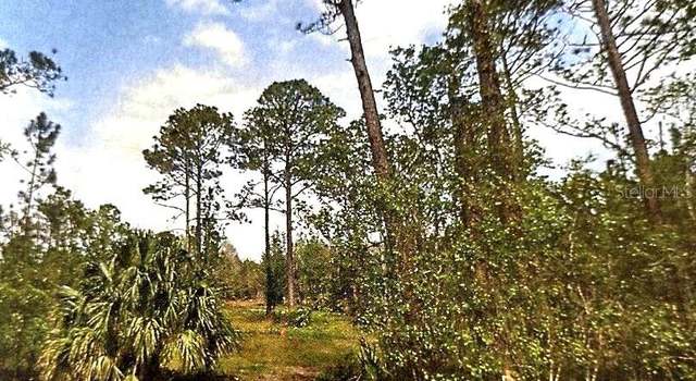Photo of S US Hwy 17, Pierson, FL 32180