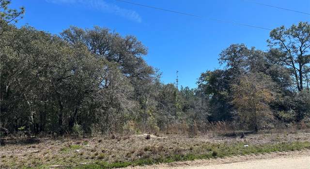 Photo of 2061 SE 150th Ave, Morriston, FL 32668
