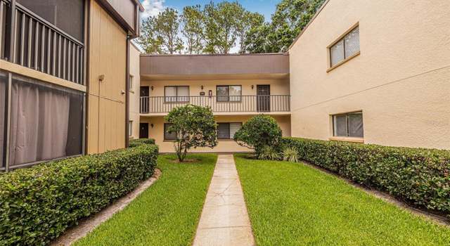 Photo of 11816 Raintree Lake Ln Unit B, Tampa, FL 33617