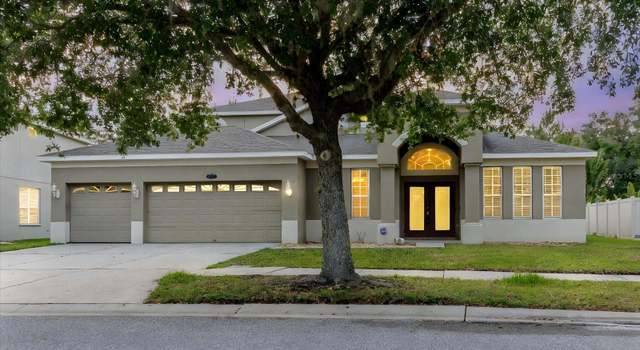 Photo of 20316 Natures Corner Dr, Tampa, FL 33647