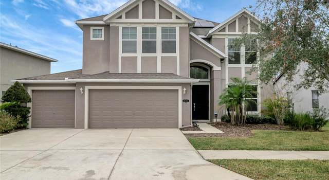 Photo of 19354 Yellow Clover Dr, Tampa, FL 33647