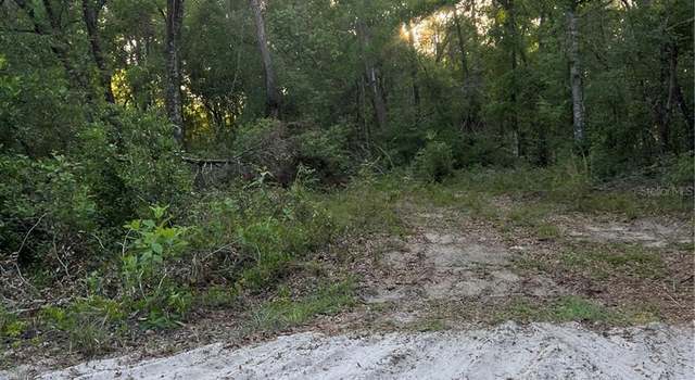 Photo of Havenwoods Rd, Spring Hill, FL 34610