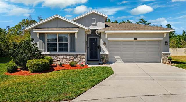 Photo of 15793 Midnight Dove Ct, Odessa, FL 33556