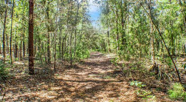 Photo of 115 Coral Ave, Interlachen, FL 32148