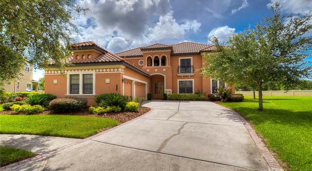 Photo of 20103 Shady Hill Ln, Tampa, FL 33647