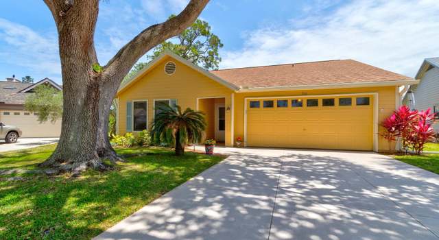 Photo of 706 Sky Tree Ct, New Smyrna Beach, FL 32168