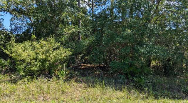 Photo of Bud Crum Rd, Panacea, FL 32346